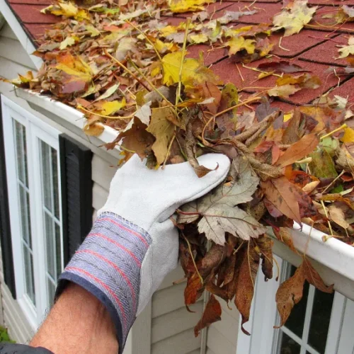 Gutter Cleaning