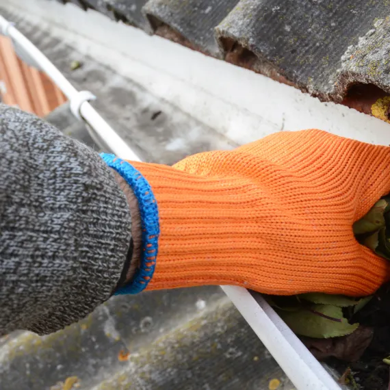 Home Gutter Cleaning