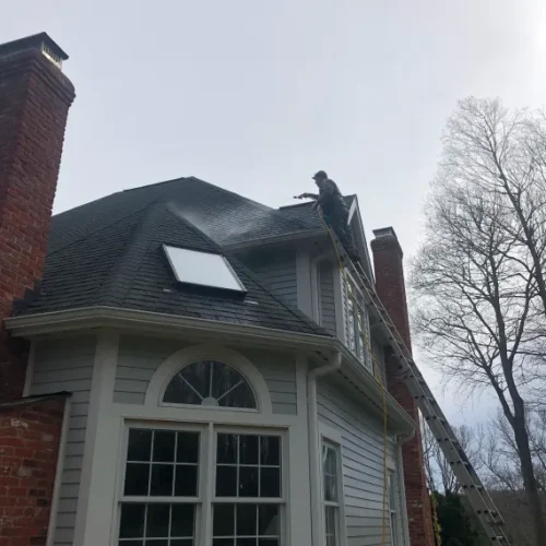 Home Roof Cleaning